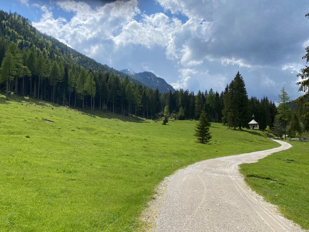 Groß (IMG-2583)